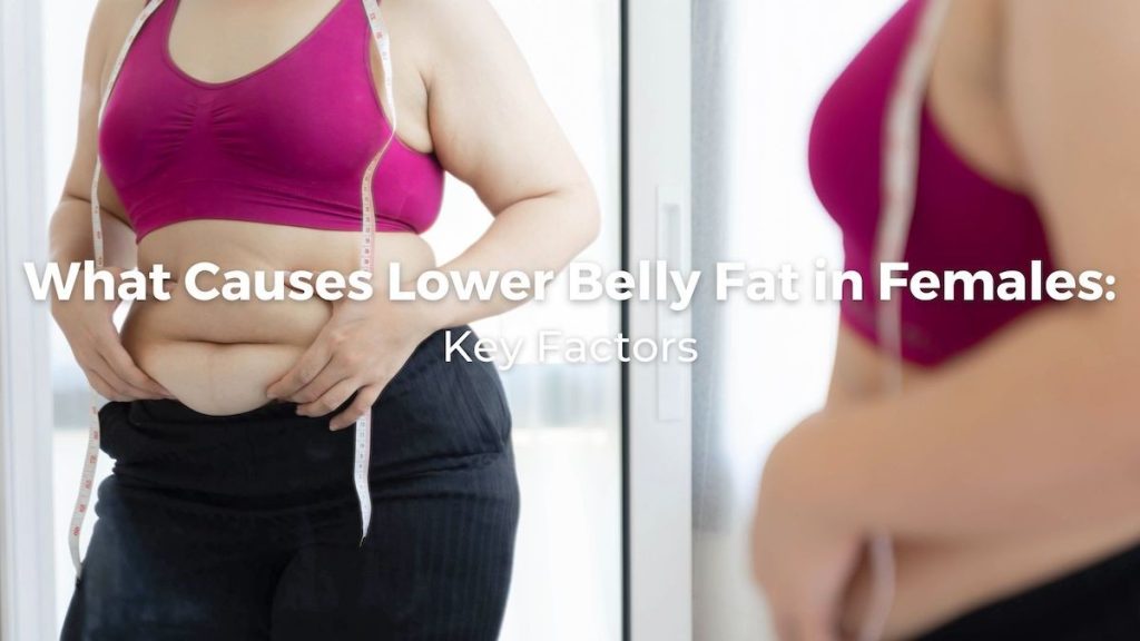 Lower Belly Fat